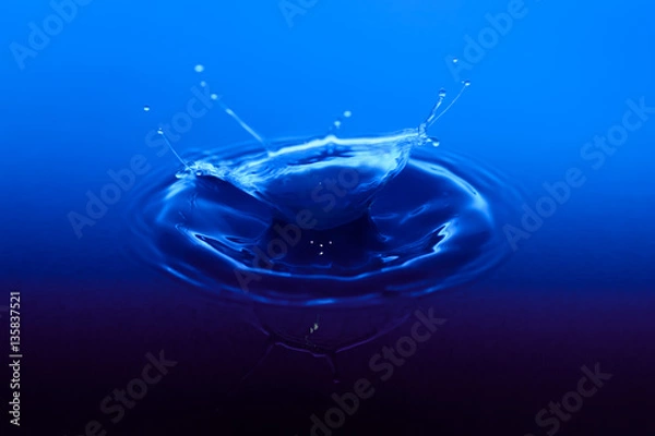 Obraz Blagica (MidNightBlue)