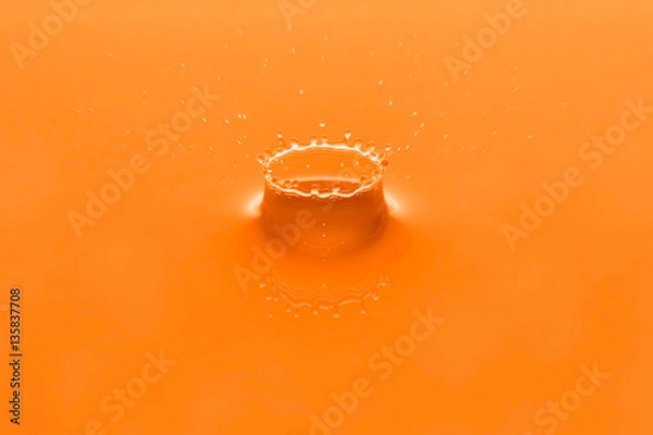 Obraz Orane (DarkOrange)