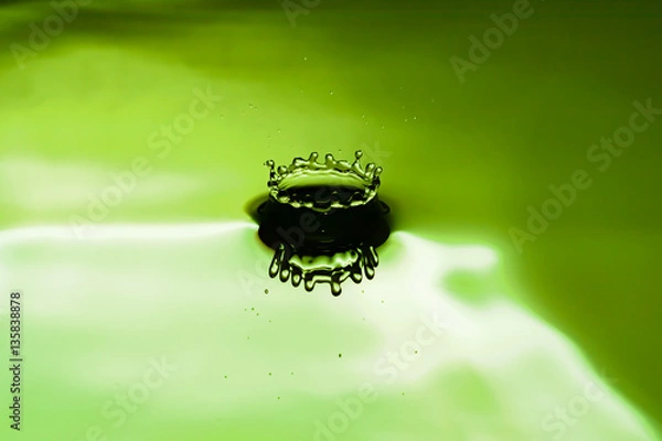 Obraz Graciana (LightGreen)