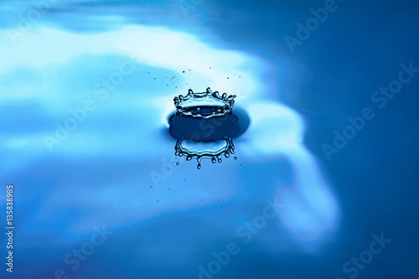 Obraz Blanche (CornFlowerBlue)