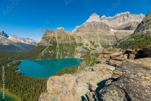 Fototapeta Staggering mountain scenes at Lake O'Hara during summer time with incredible turquoise lakes in scenic alpine aqua lake scene in the Canadian Rockies of Canada, Alberta, British Columbia. 