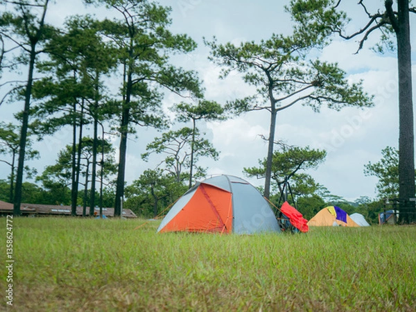 Fototapeta Wide-angle tourist tent set gray orange, amidst a green field, with trees and cloudy sky backdrop. Gives sense of tranquility and connection to nature. Camping atmosphere