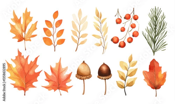 Fototapeta Vector Watercolor Fall Leaves Set with Acorns, Maple, Berries, Spruce for Seasonal Designs