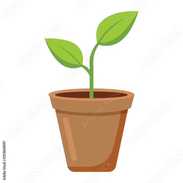 Fototapeta Young Sprout in a Small Pot Isolated on White