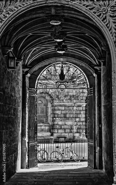 Fototapeta Through the Portal