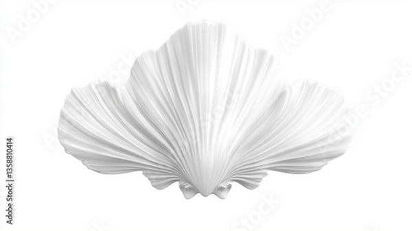 Obraz White elegant sea jacobean scallop shel
