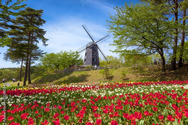 Obraz 雪谷川ダムフォリストパーク・軽米（岩手県軽米町）