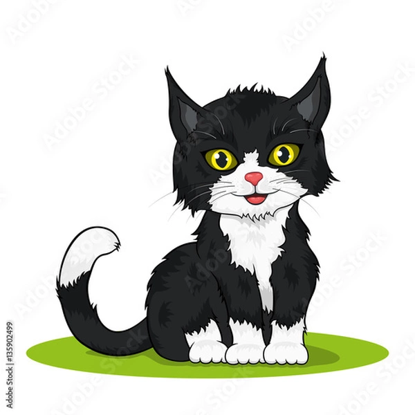 Fototapeta small cute kitten