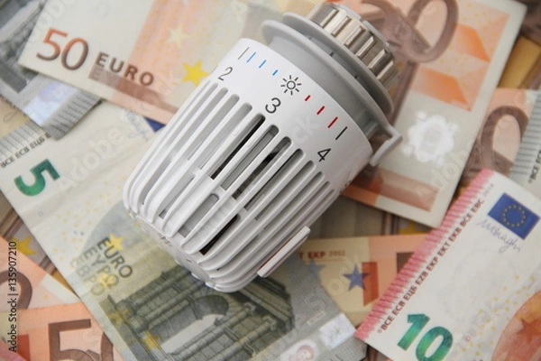 Obraz Thermostat mit Geld