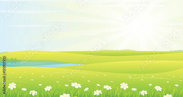 Obraz Summer Landscape