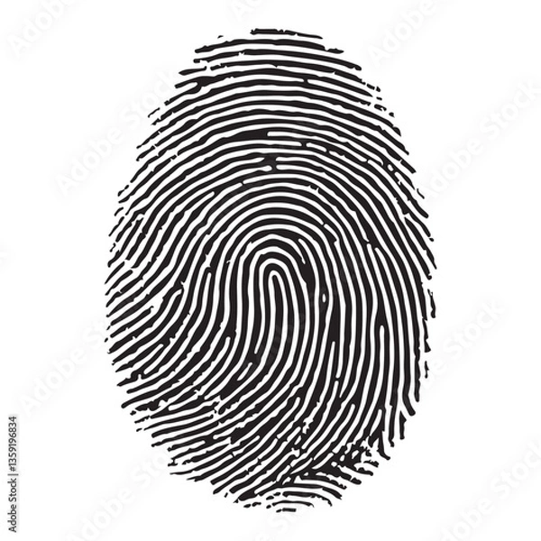 Fototapeta Detailed Fingerprint Pattern Vector Illustration for Identification Purposes