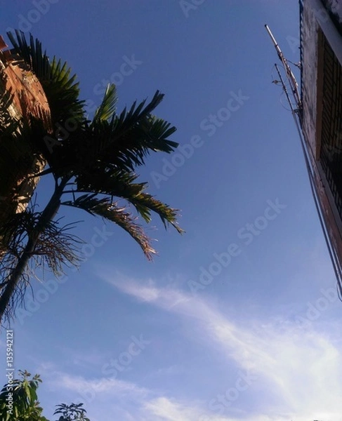 Fototapeta Céu com nuvens e coqueiro