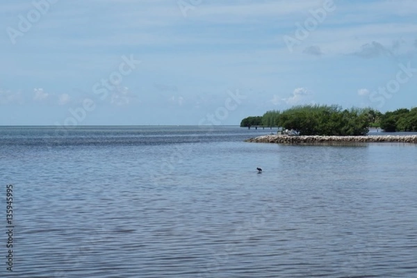 Obraz Küste auf den Florida Keys