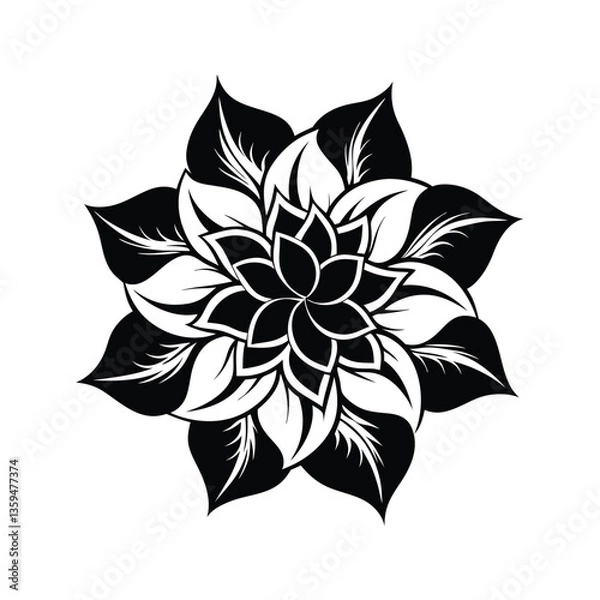 Obraz black and white flower vector