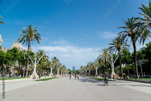 Obraz walk in barcelona