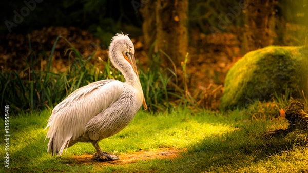 Obraz Cornfield Chase