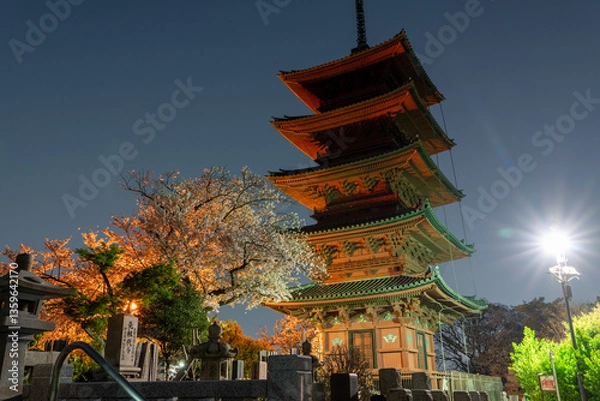 Obraz 五重塔とサクラ