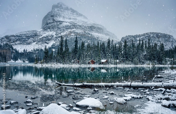 Fototapeta Wooden lodge in pine forest with heavy snow reflection on Lake O'hara at Yoho national park