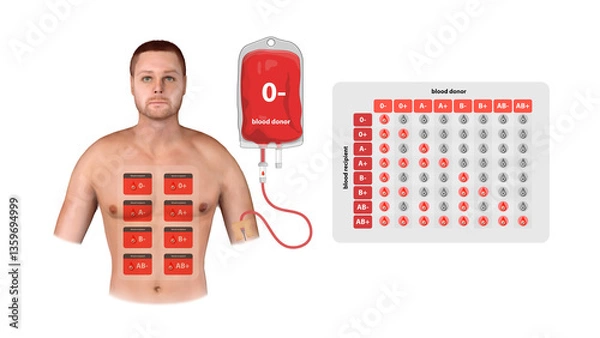 Obraz A 3D medical illustration of an O negative blood donor showing transfusion, recipient compatibility, and a detailed blood type matching chart, graphic