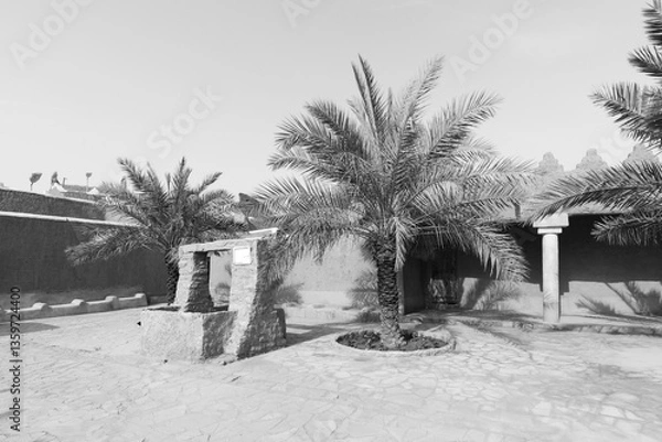 Fototapeta Public place with palm trees and renovated houses in the traditional village of Shaqra in Saudi Arabia. Shaqra is a traditional restored village made of clay bricks