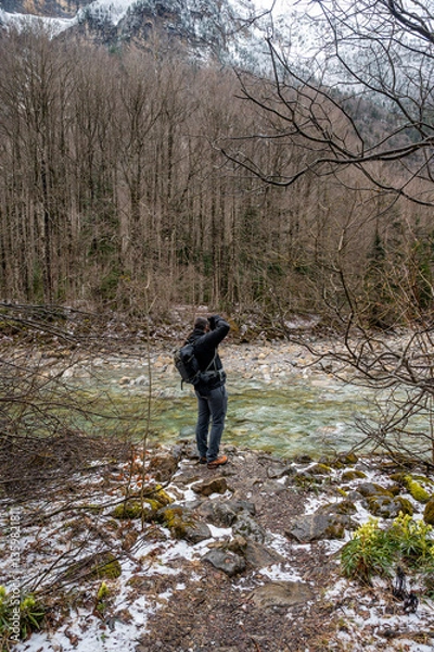 Obraz Spring walk in the forest