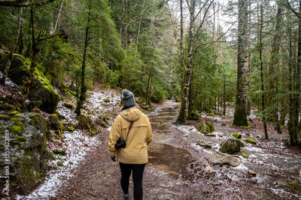 Obraz Spring walk in the forest