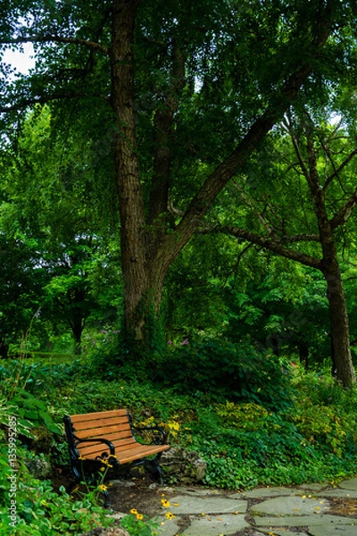 Obraz Lafayette Square Park