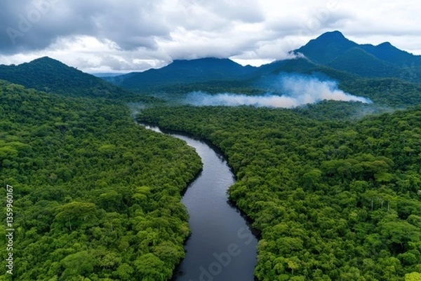 Obraz An impressive aerial shot showcases a winding river through dense, vibrant jungle, illustrating the beauty of nature and showcasing the tranquility of the untouched wilderness.