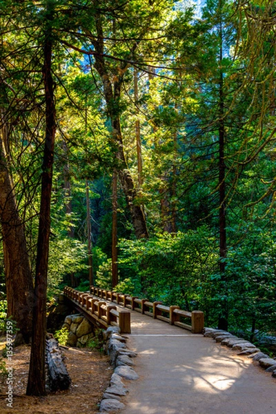 Obraz Lower Yosemite Falls Trail