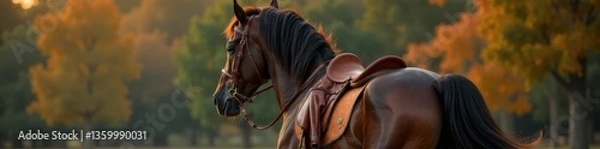 Fototapeta Dark bay horse's rear view with rider in leather saddle, showcasing flowing mane and tail, equestrian event , leather saddle