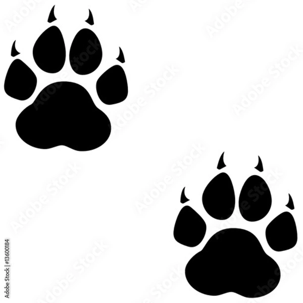 Fototapeta Bärentatzen