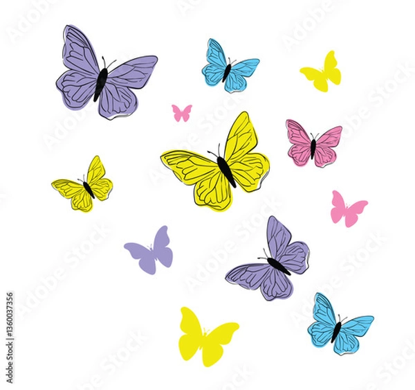 Fototapeta Colorful Butterfly Illustration in Vector Format