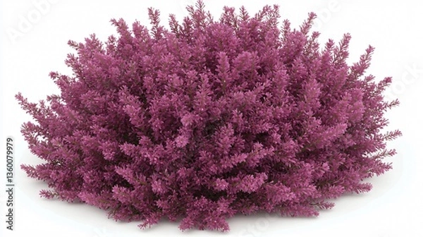Obraz Pink bush with tiny blossoms in rounded shape. Bright colors. Floral, isolated