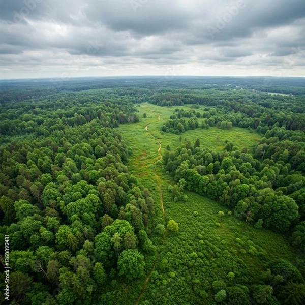 Obraz landscape with trees and clouds
