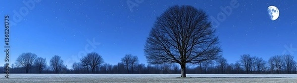 Obraz Lone Tree with Night Field, and Moon.