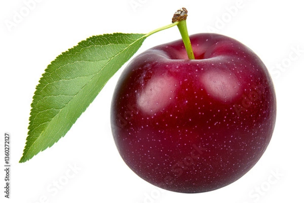 Obraz Fresh red plum with water droplets isolated