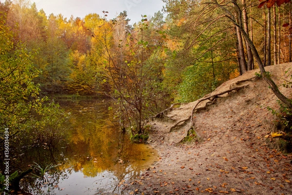 Obraz Jesień w lesie