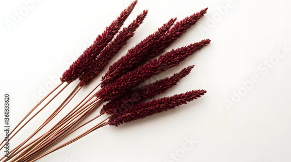 Fototapeta A delicate arrangement of Amaranth ears in reddish-brown color, lying on a pristine white surface, emphasizing natural elegance and fine texture.