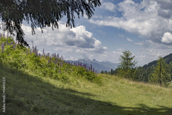 Obraz Dreilaendereck bei Arnoldstein