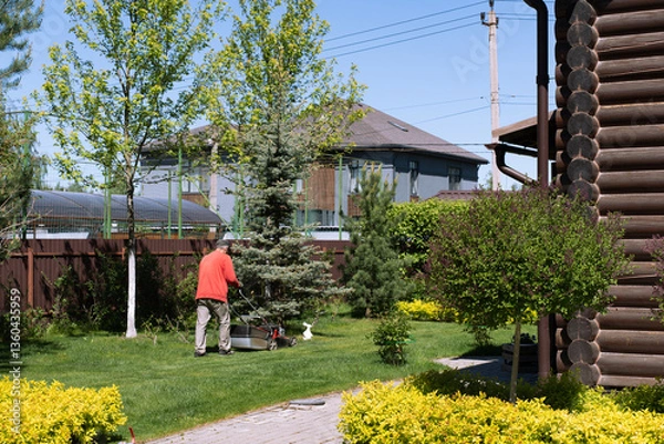Fototapeta An elderly man in a red jacket and cap is mowing the green lawn with a gasoline lawnmower in a private garden. The lush greenery, trimmed hedges, and wooden house in the background 