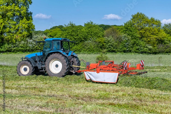 Fototapeta Tractor with hay tedder in the mown meadow - 5259