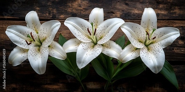 Obraz Three White Lilies Wood Background.