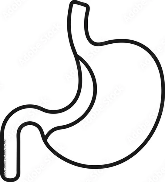 Fototapeta Stomach outline icon on white background