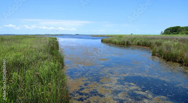 Fototapeta Currituck Banks Reserve and Sound, Outer Banks - North Carolina