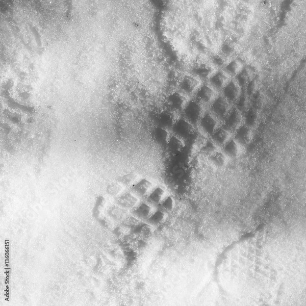 Obraz Pisada en la nieve