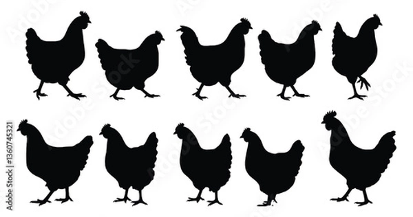 Obraz Chicken Silhouette Vector Set