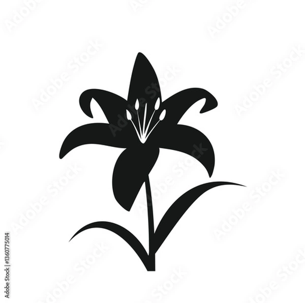 Obraz black and white lily