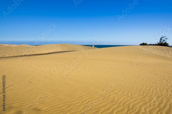 Fototapeta Dunes of Maspalomas