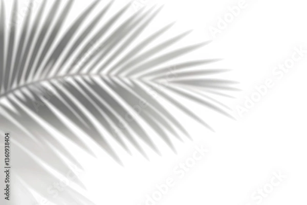 Fototapeta Natural palm branch shadow on transparent background. Tropical palm leaf shadow overlay effect. PNG file, cut-out, ideal for summer design elements 
