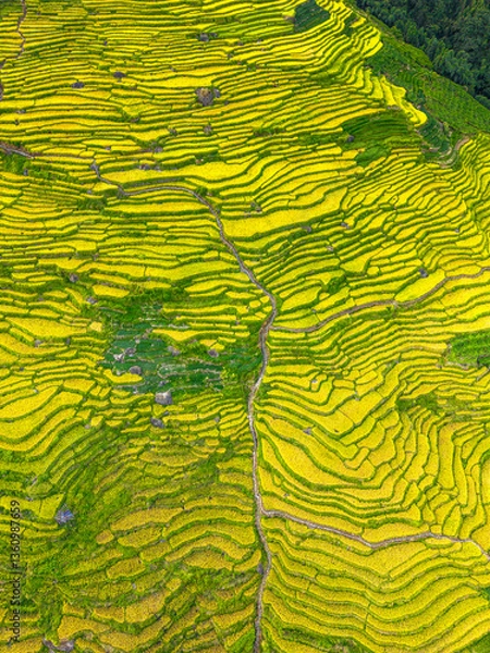 Fototapeta Longji Rice Terraces in Longsheng, or called Longsheng Rice Terraces, Guangxi, China